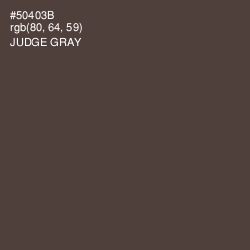 #50403B - Judge Gray Color Image